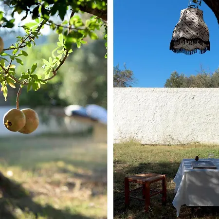 Сasa de vacaciones Eleni's Cottage, For Natural Living, By Thinkvilla